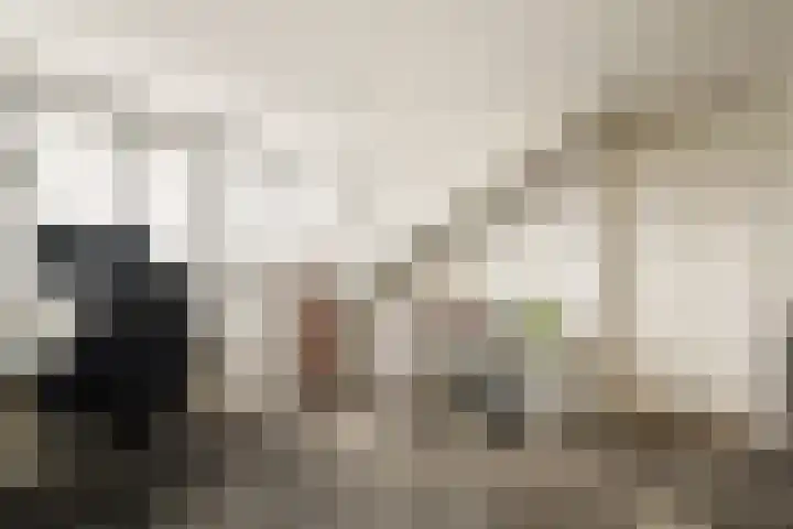 Linnaeuslaan 16 Aalsmeer thumbnail 35