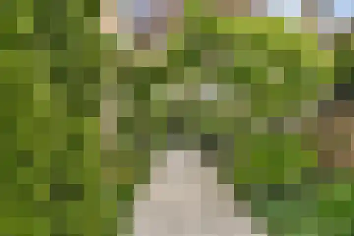 Linnaeuslaan 16 Aalsmeer thumbnail 37