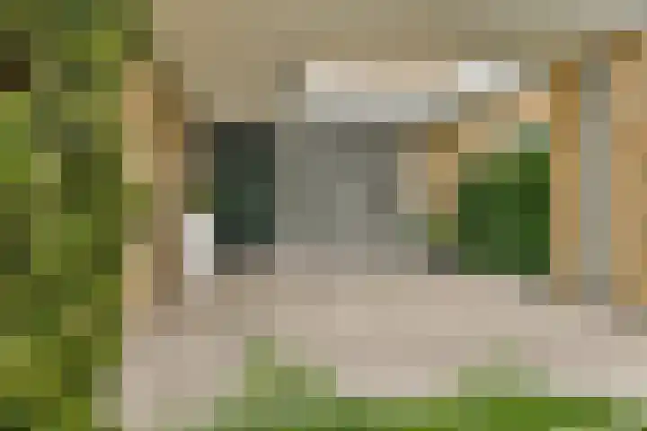 Linnaeuslaan 16 Aalsmeer thumbnail 38