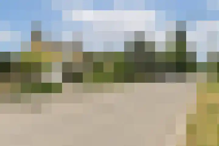 Linnaeuslaan 16 Aalsmeer thumbnail 39