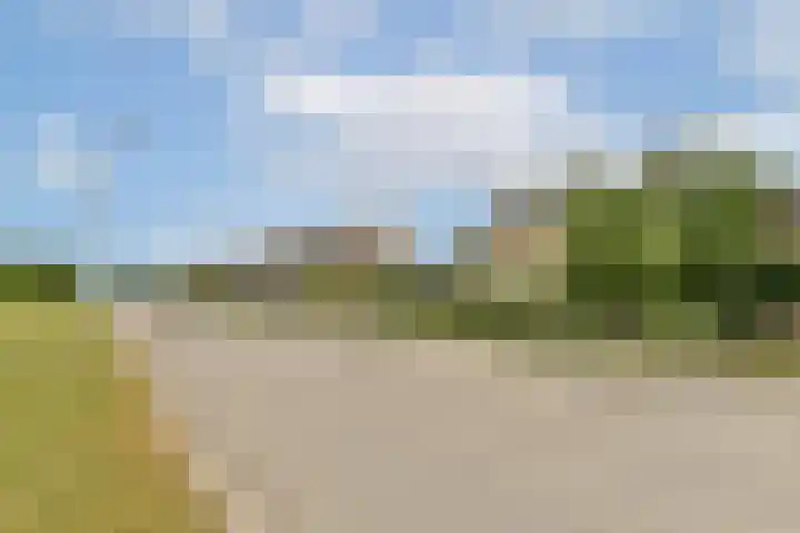 Linnaeuslaan 16 Aalsmeer thumbnail 40