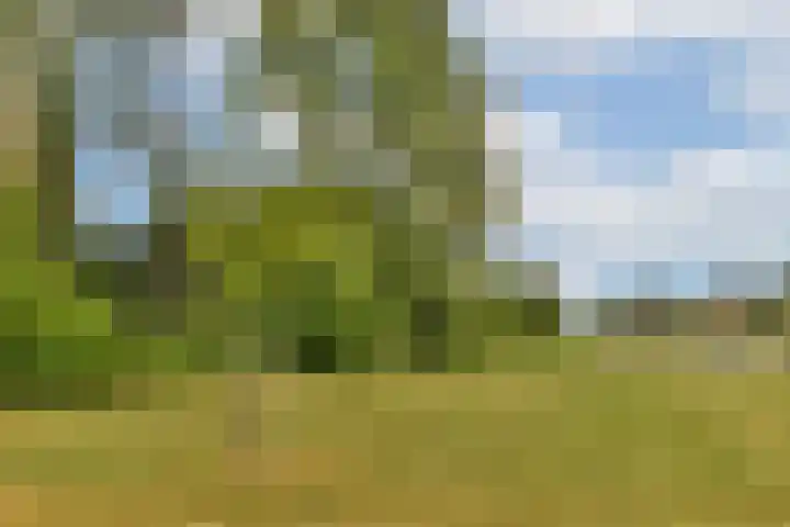 Linnaeuslaan 16 Aalsmeer thumbnail 41