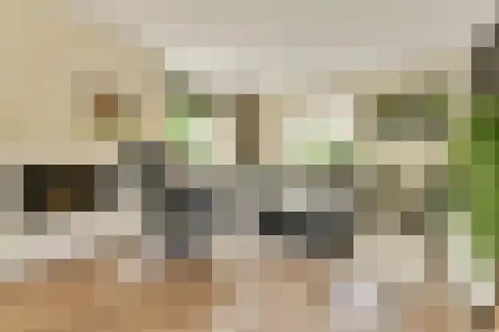 Linnaeuslaan 16 Aalsmeer thumbnail 4