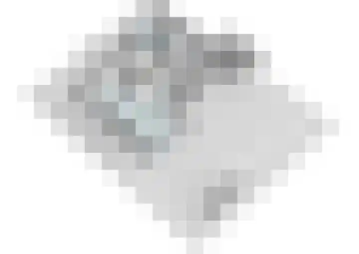 Linnaeuslaan 16 Aalsmeer thumbnail 49