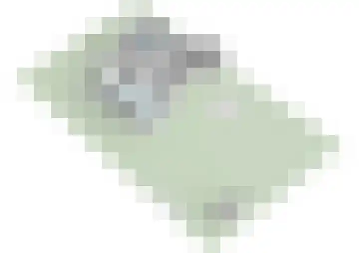 Linnaeuslaan 16 Aalsmeer thumbnail 51
