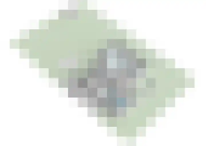 Linnaeuslaan 16 Aalsmeer thumbnail 52