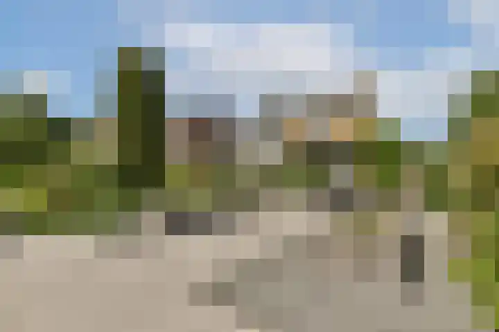Linnaeuslaan 16 Aalsmeer thumbnail 54