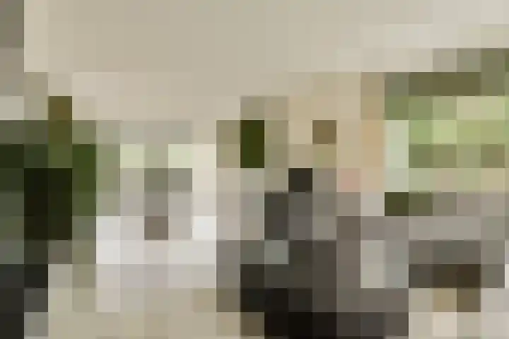 Linnaeuslaan 16 Aalsmeer thumbnail 5