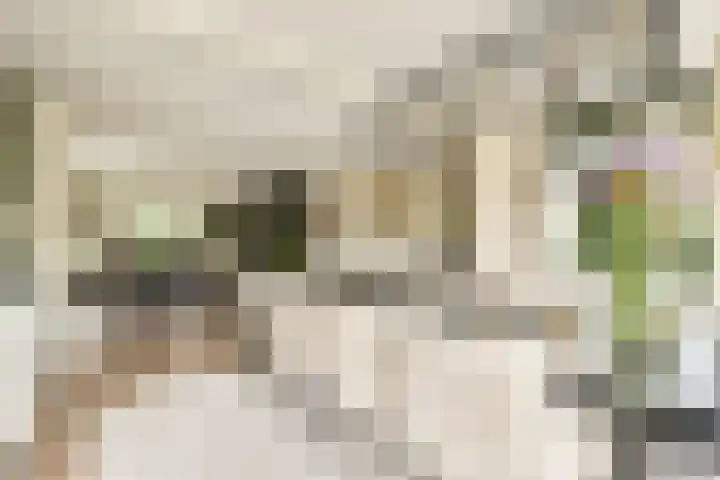 Linnaeuslaan 16 Aalsmeer thumbnail 7