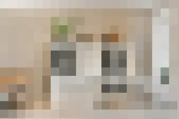 Linnaeuslaan 25 Voorhout thumbnail 10