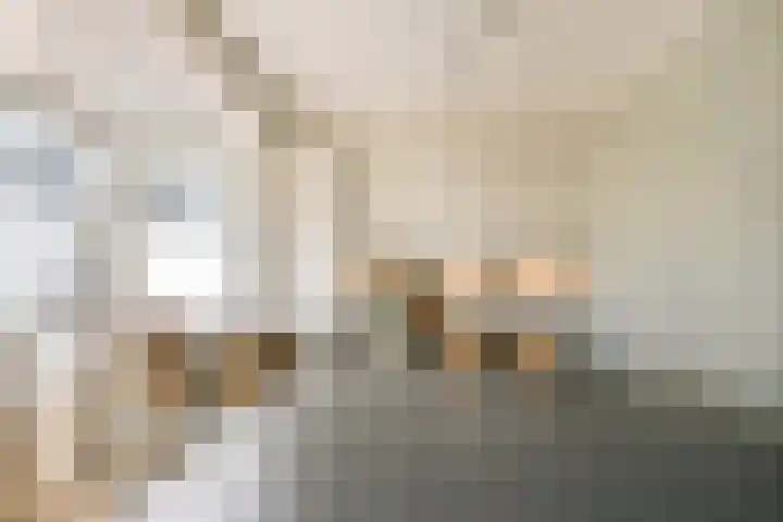 Linnaeuslaan 25 Voorhout thumbnail 12