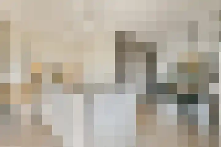 Linnaeuslaan 25 Voorhout thumbnail 13