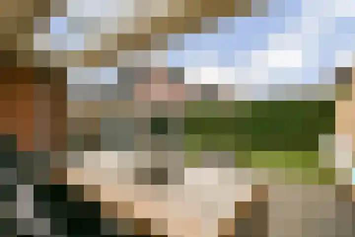 Linnaeuslaan 25 Voorhout thumbnail 16