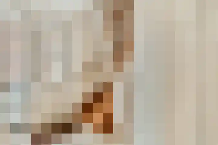 Linnaeuslaan 25 Voorhout thumbnail 20