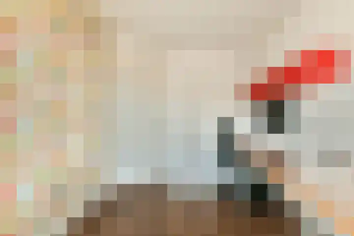 Linnaeuslaan 25 Voorhout thumbnail 30