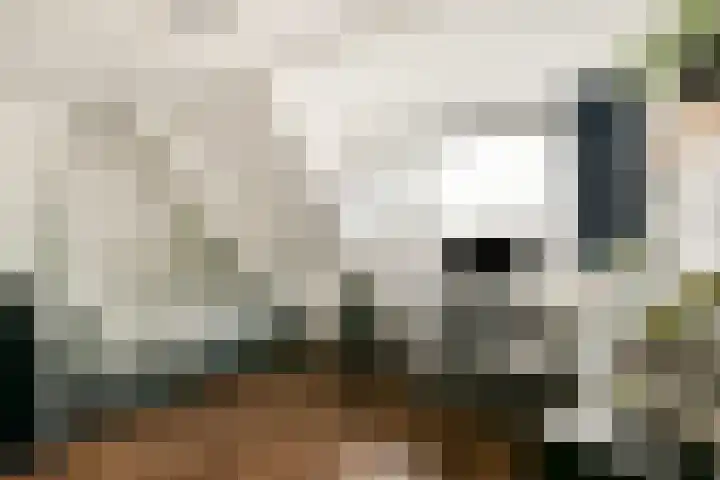 Linnaeuslaan 25 Voorhout thumbnail 31