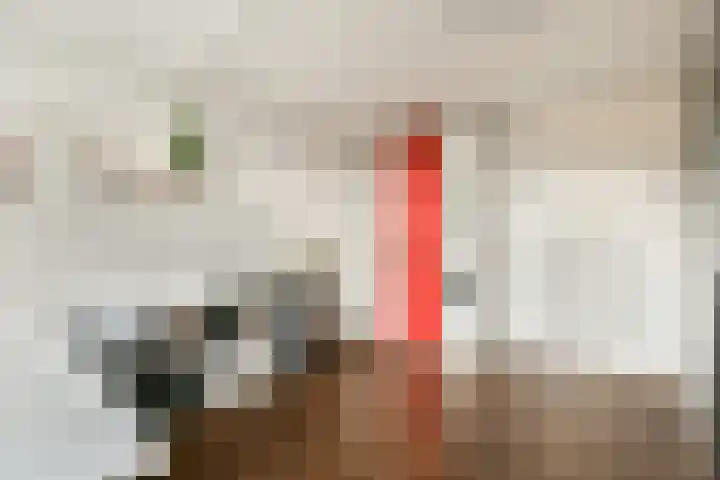 Linnaeuslaan 25 Voorhout thumbnail 32