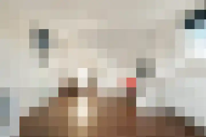 Linnaeuslaan 25 Voorhout thumbnail 33
