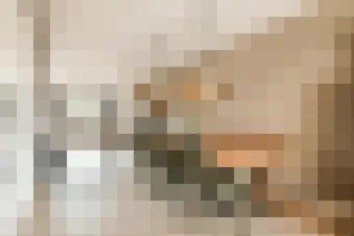 Linnaeuslaan 25 Voorhout thumbnail 4