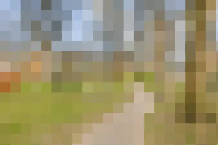 Linnaeuslaan 25 Voorhout thumbnail 40