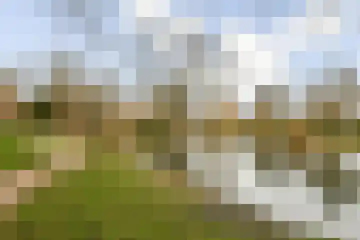 Linnaeuslaan 25 Voorhout thumbnail 41
