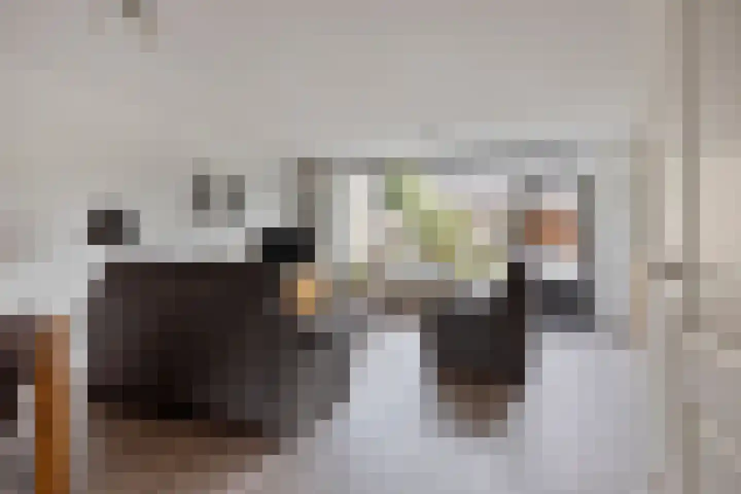 Linnaeuslaan 30 Veenendaal thumbnail 10