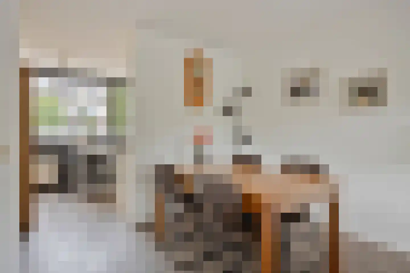Linnaeuslaan 30 Veenendaal thumbnail 13