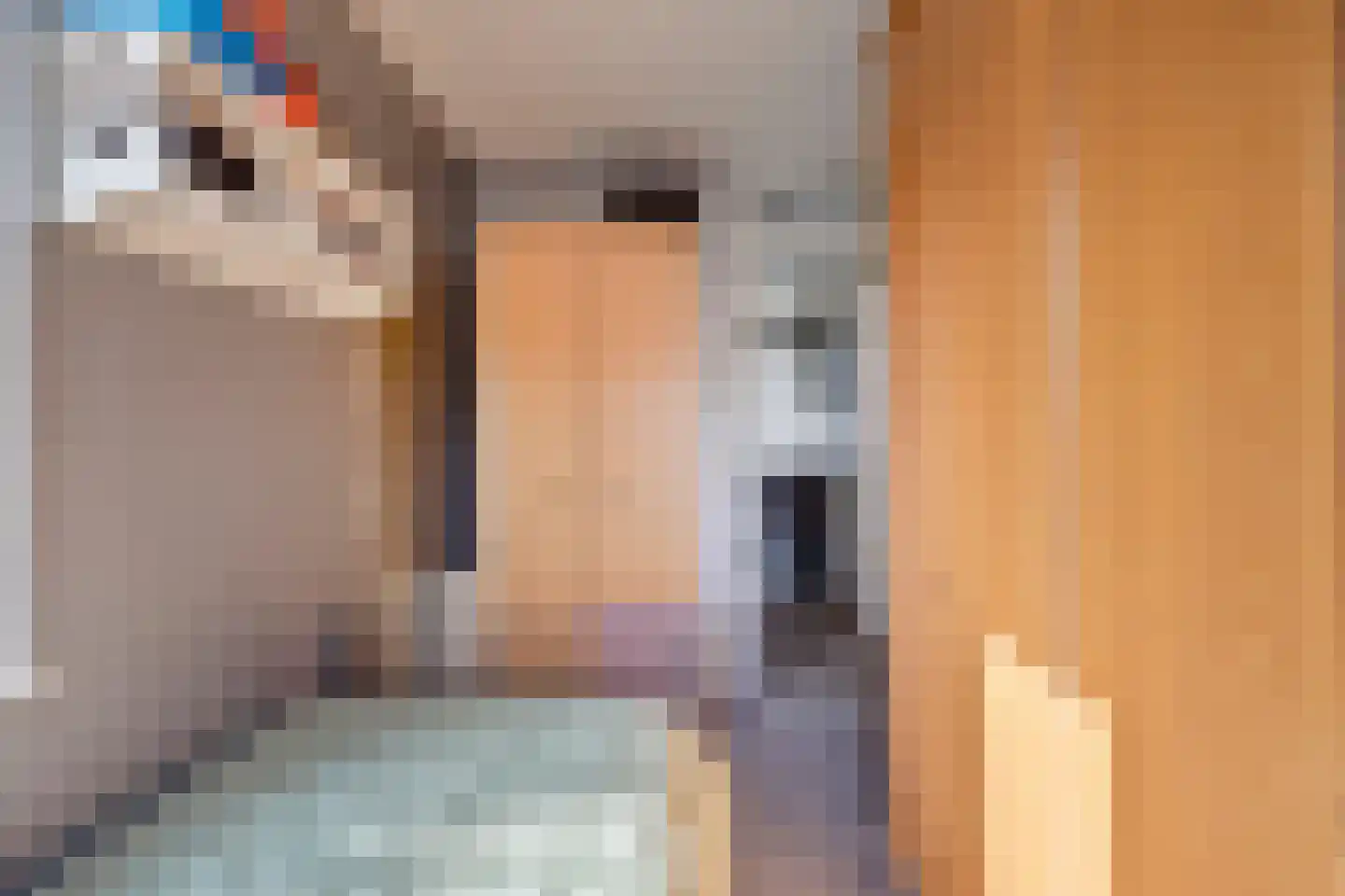 Linnaeuslaan 30 Veenendaal thumbnail 21
