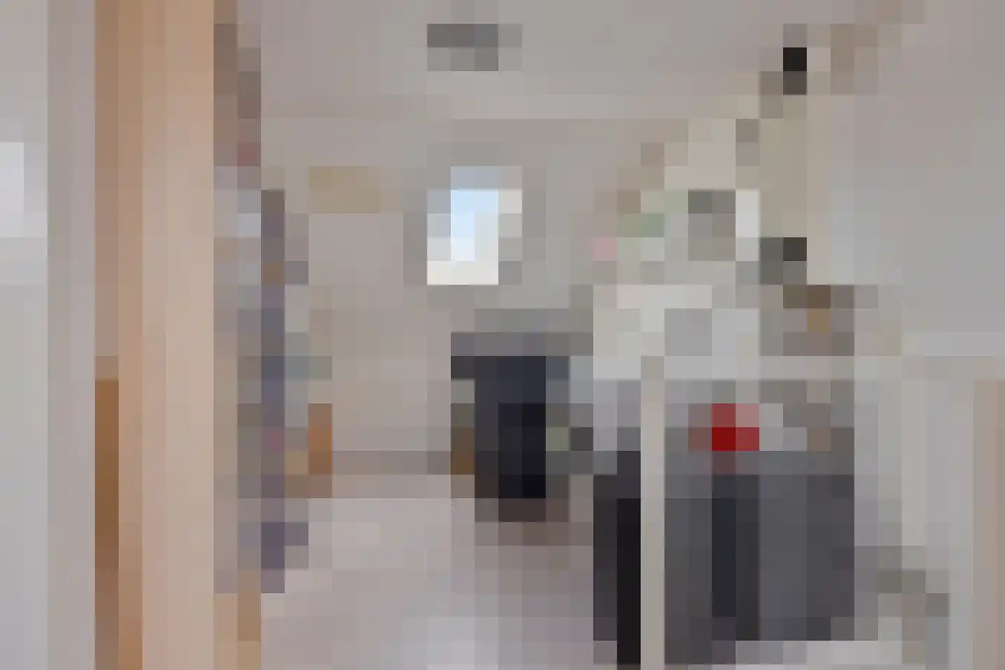 Linnaeuslaan 30 Veenendaal thumbnail 24