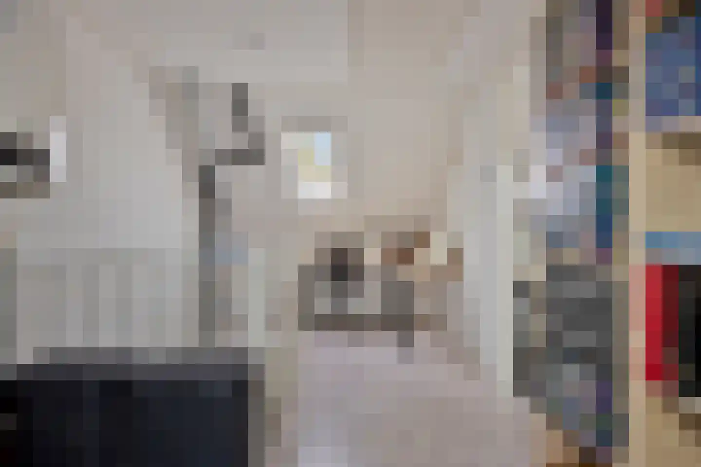 Linnaeuslaan 30 Veenendaal thumbnail 25