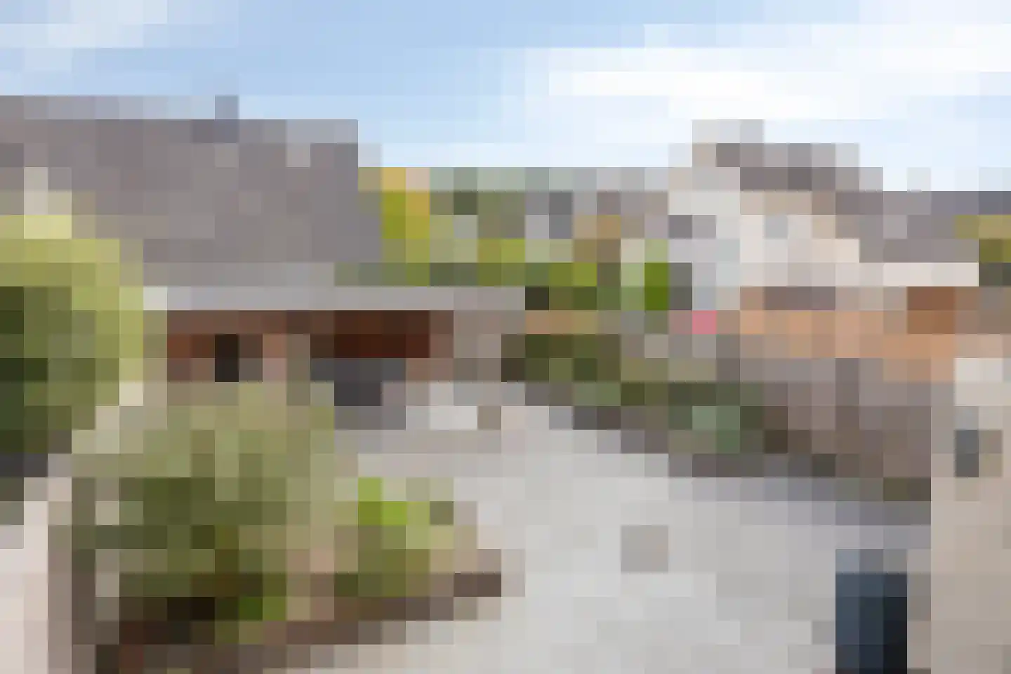 Linnaeuslaan 30 Veenendaal thumbnail 28