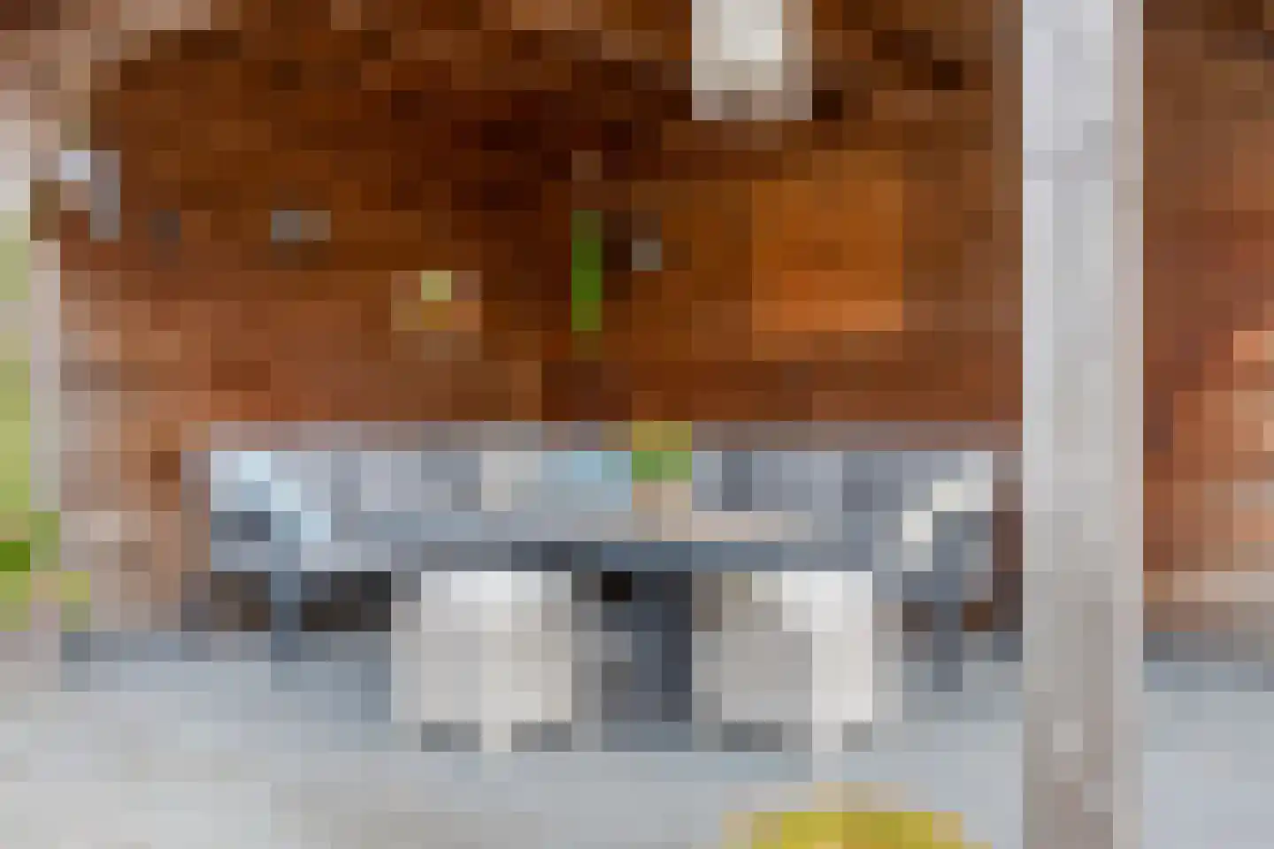 Linnaeuslaan 30 Veenendaal thumbnail 30