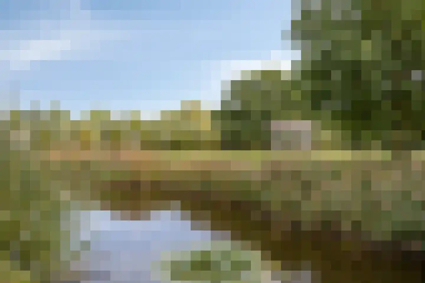 Linnaeuslaan 30 Veenendaal thumbnail 34