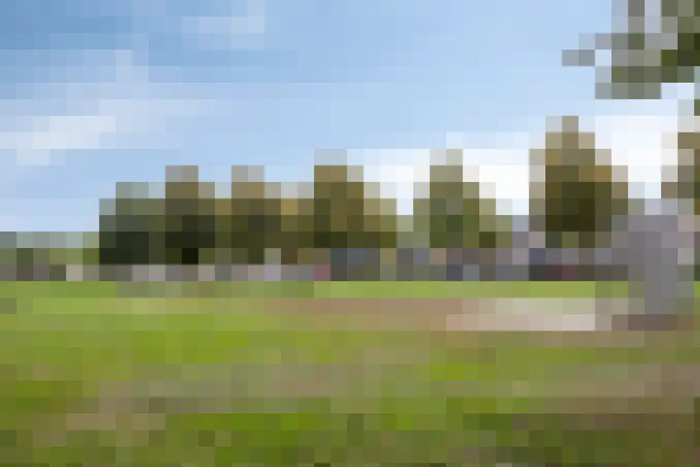 Linnaeuslaan 30 Veenendaal thumbnail 35