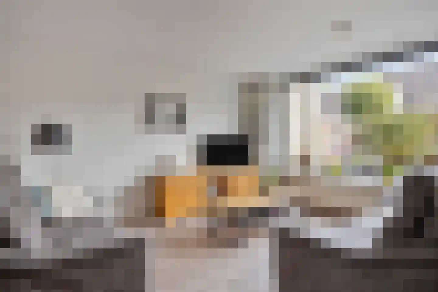 Linnaeuslaan 30 Veenendaal thumbnail 5