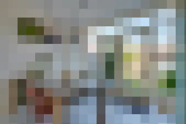 Linnaeuslaan 34 Utrecht thumbnail 14