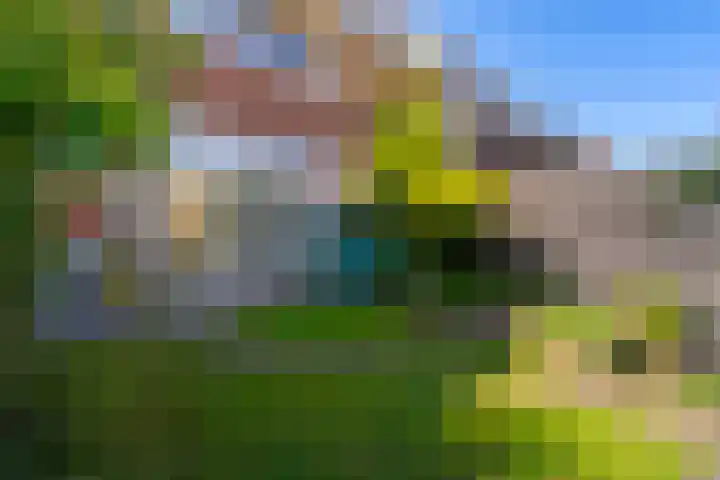 Linnaeuslaan 34 Utrecht thumbnail 18