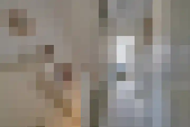 Linnaeuslaan 34 Utrecht thumbnail 19
