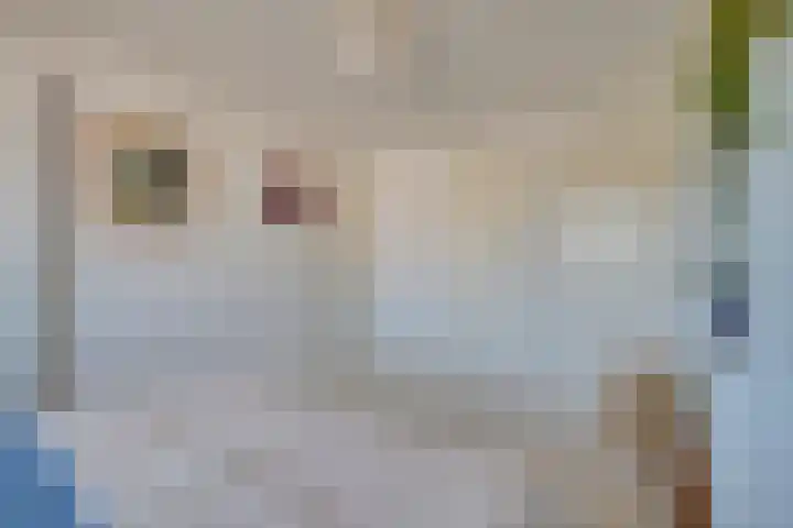 Linnaeuslaan 34 Utrecht thumbnail 25