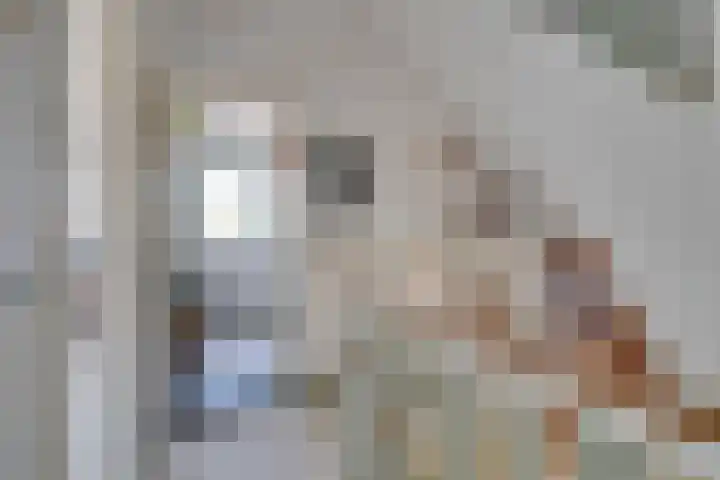 Linnaeuslaan 34 Utrecht thumbnail 26