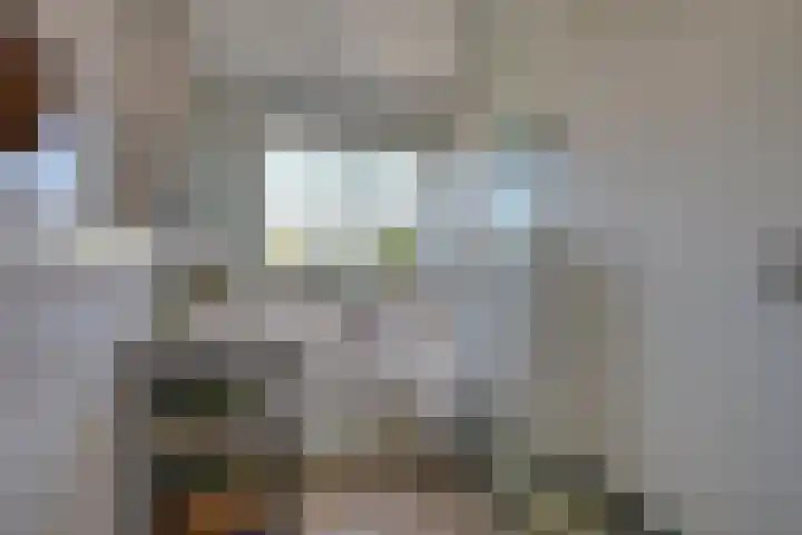 Linnaeuslaan 34 Utrecht thumbnail 27