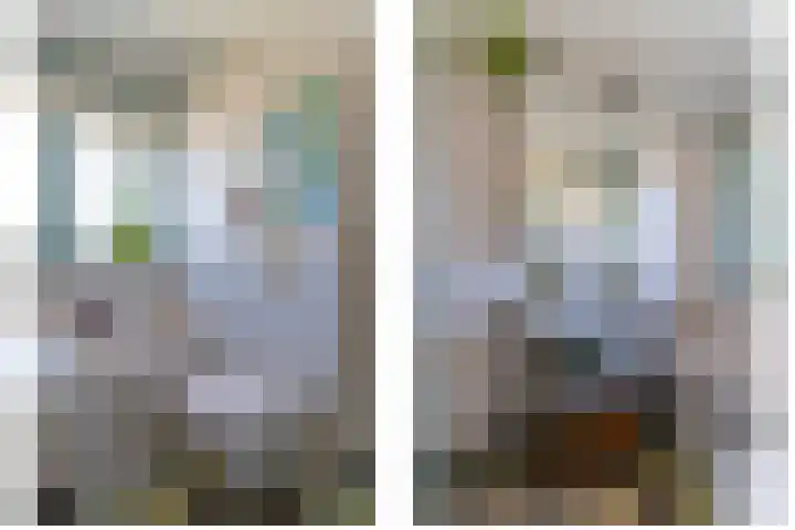 Linnaeuslaan 34 Utrecht thumbnail 28