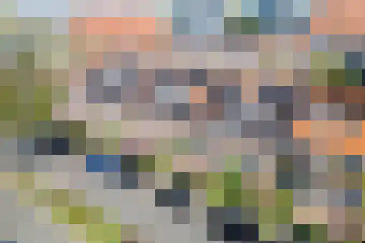 Linnaeuslaan 34 Utrecht thumbnail 33