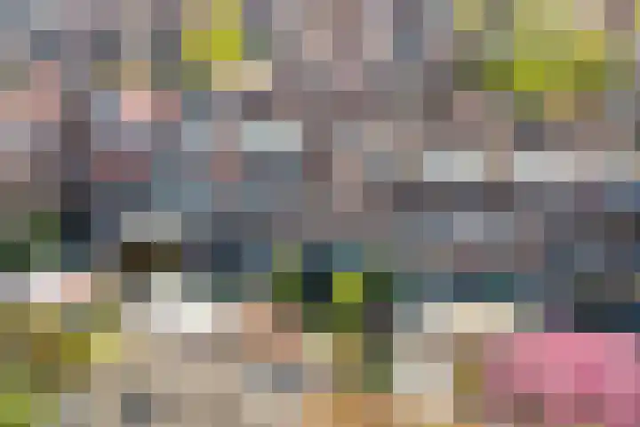 Linnaeuslaan 34 Utrecht thumbnail 34