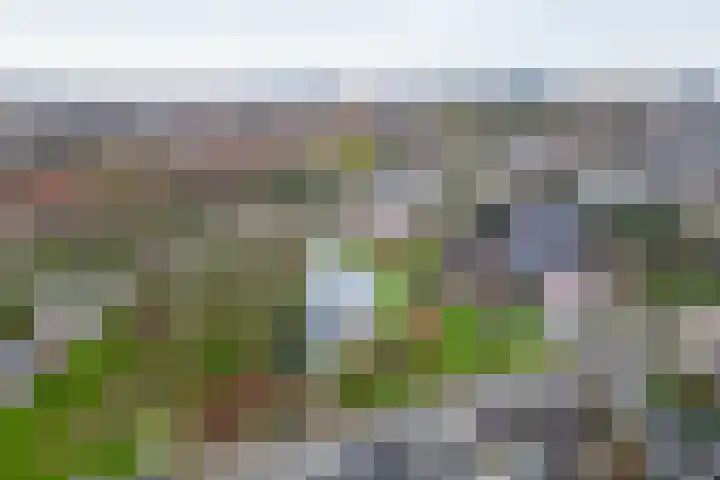 Linnaeuslaan 34 Utrecht thumbnail 35