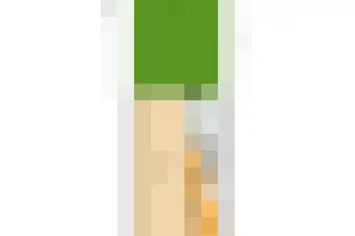 Linnaeuslaan 34 Utrecht thumbnail 42