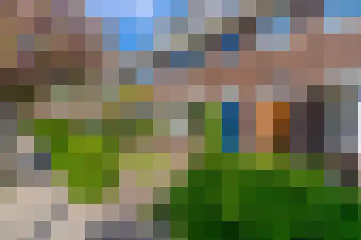 Linnaeuslaan 34 Utrecht thumbnail 5