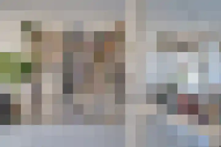 Linnaeuslaan 34 Utrecht thumbnail 9