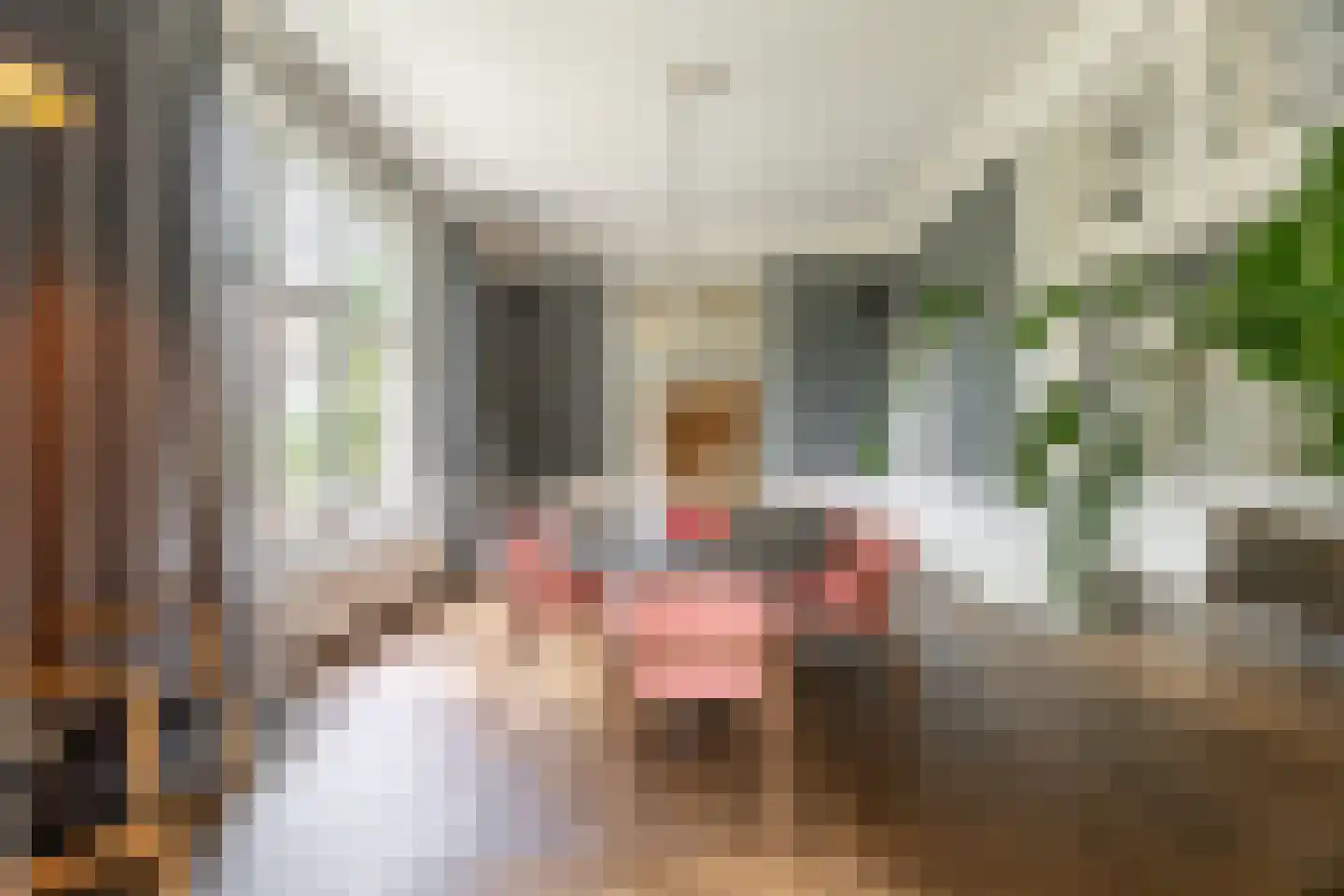 Linnaeuslaan 4 Haarlem thumbnail 10