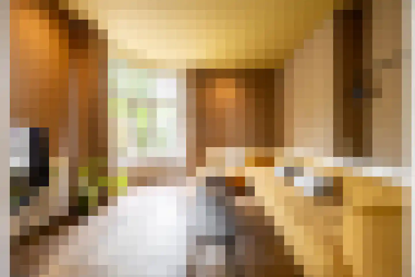 Linnaeuslaan 4 Haarlem thumbnail 12